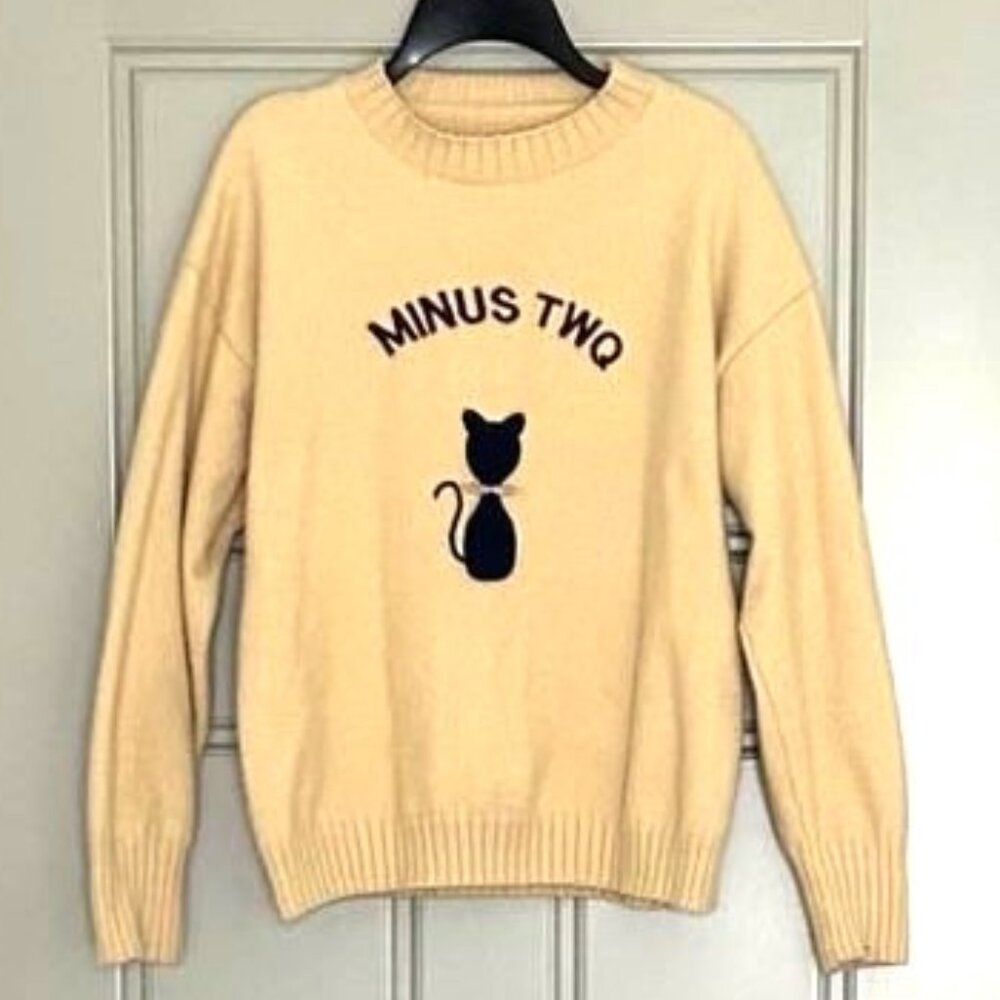 Sweater Pullover Neck. Fuzzy. With applique.
